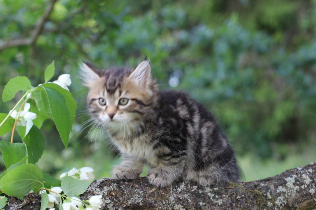 phebe8weeks7714.jpg