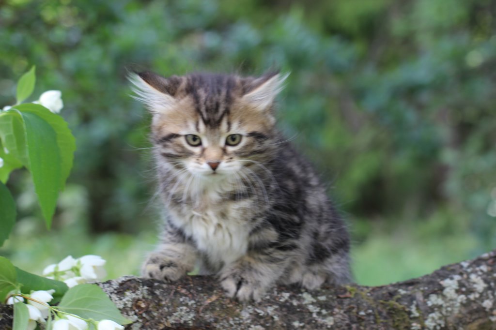 phebe8weeks7715.jpg