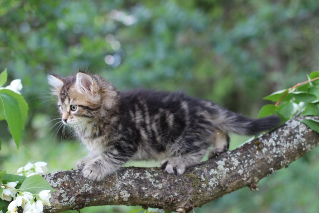 phebe8weeks779.jpg