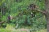 phebeandpaulos56_small.jpg