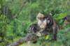 phebeandpaulos60_small.jpg