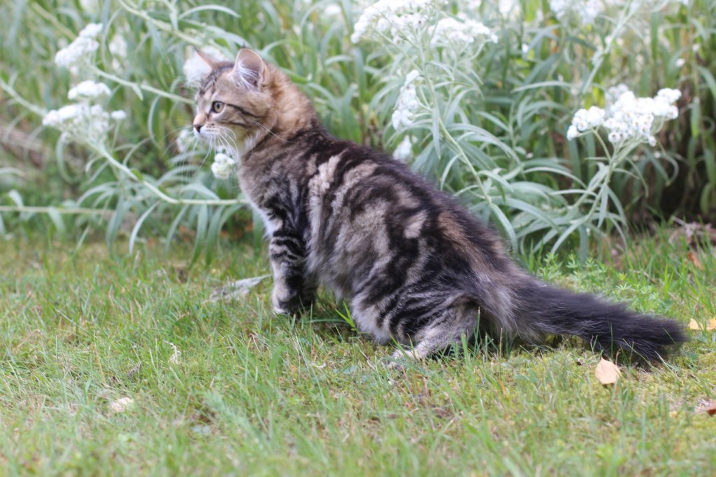 phebegirl13weeks11841.jpg