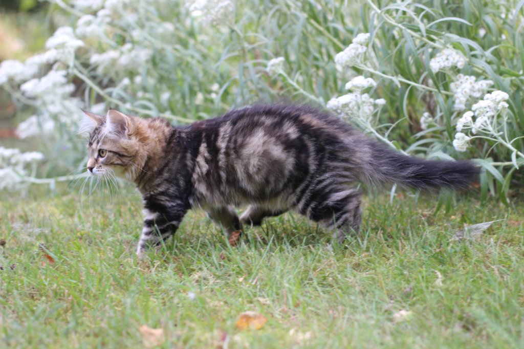 phebegirl13weeks11848.jpg