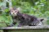 philadelphia6weeks24622_small.jpg