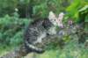 img_6080_small.jpg