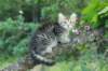img_6081_small.jpg
