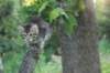 img_6141_small.jpg
