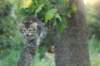img_6142_small.jpg