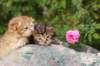 img_1390_small.jpg