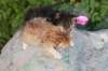 img_1394_small.jpg