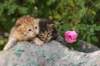 img_1404_small.jpg