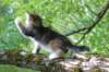 pina105viikkoa4848_small.jpg