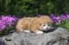 q4sibd0922boy2weeks9641_small.jpg