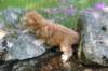 q4sibd22girlsepe2weeks9622_small.jpg