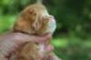 q4sibd22girlsepe2weeks9637_small.jpg