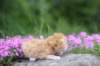 q4sibd24boy2weeks9671_small.jpg
