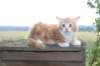 qeshaun10weeks4827_small.jpg