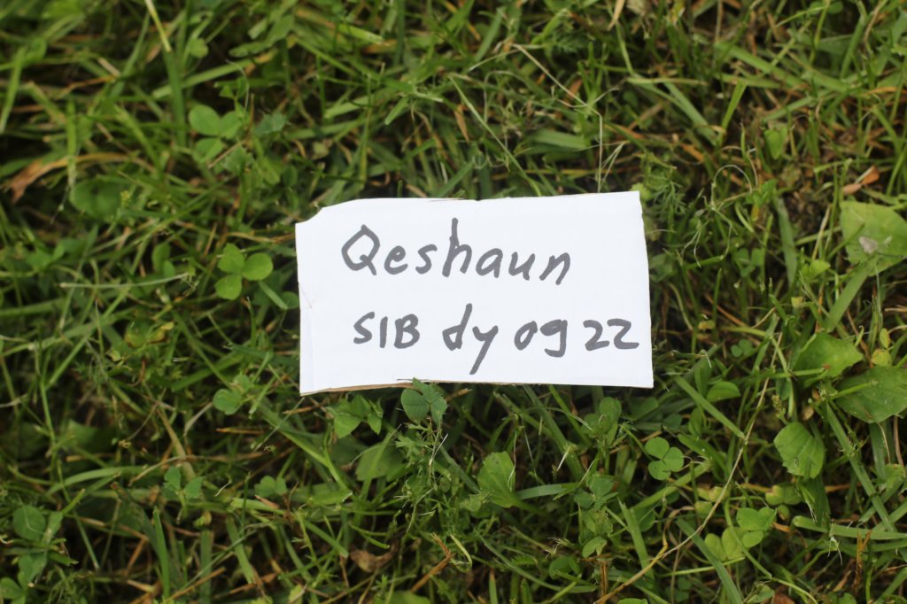 qeshaunboy65weeks12781.jpg