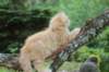 quinlanboy65weeks12728_small.jpg
