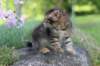qadir6weeks37_small.jpg