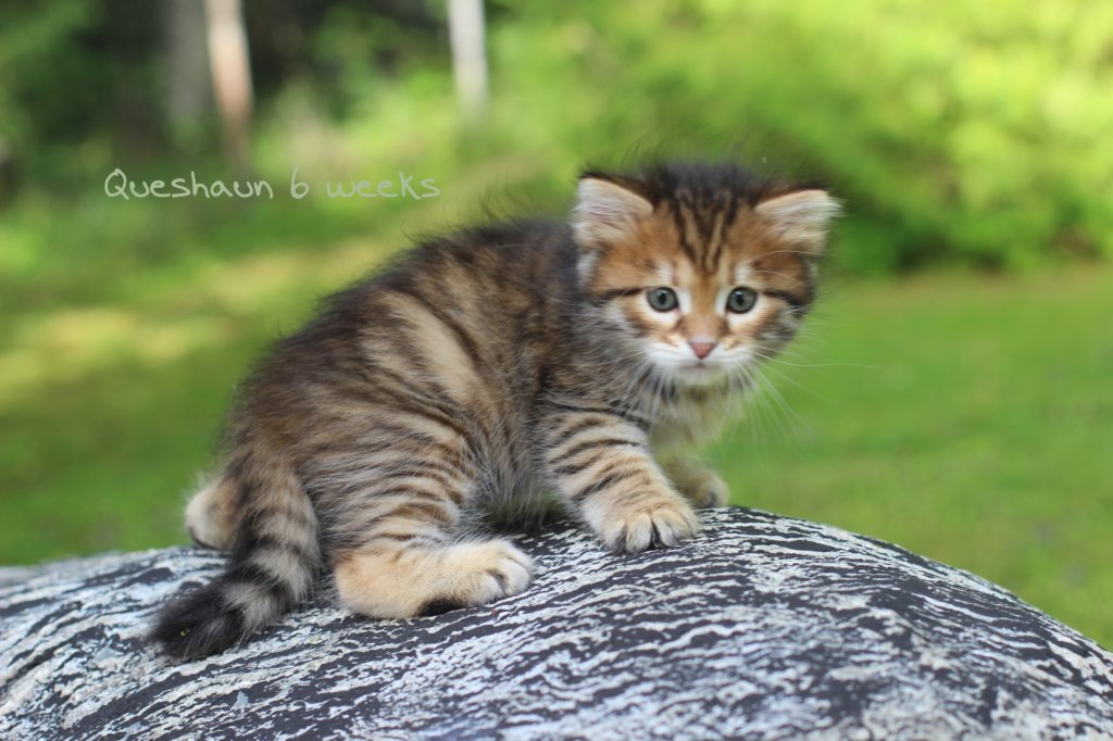 qeshaun6weeks2.jpg