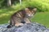 qeshaun6weeks26_small.jpg