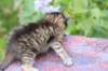 img_1260_small.jpg
