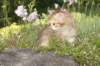 queridagirl19_small.jpg