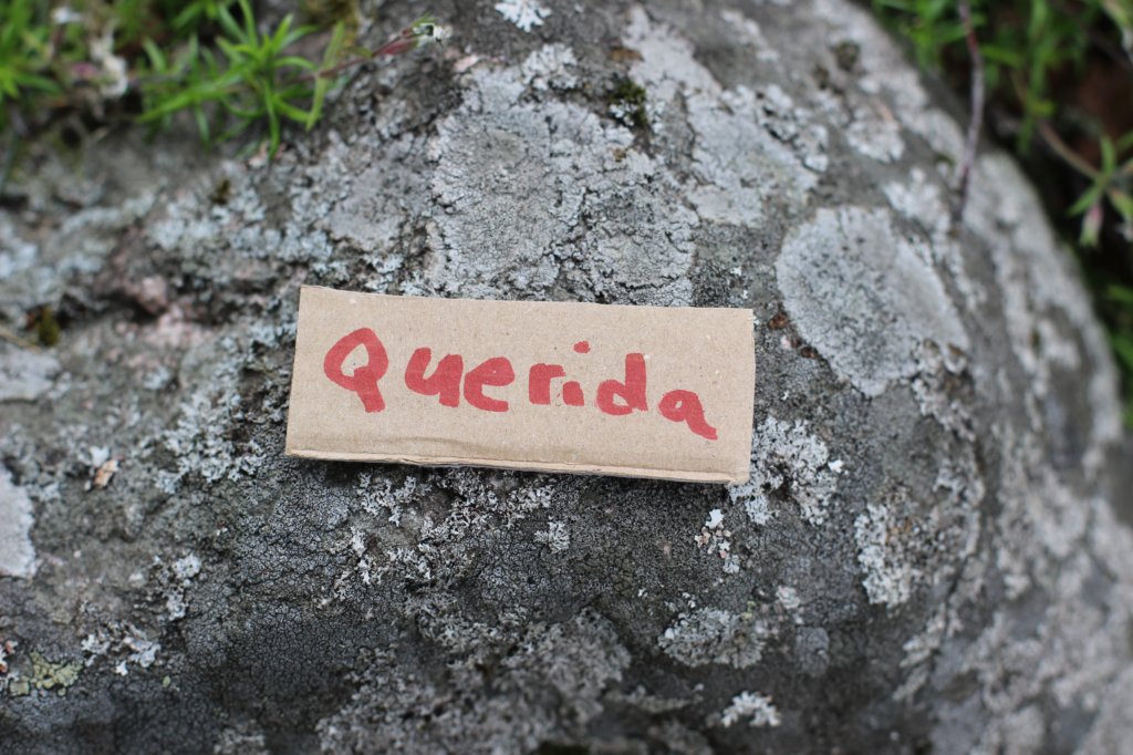 queridagirl10.jpg