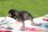 img_9667_small.jpg