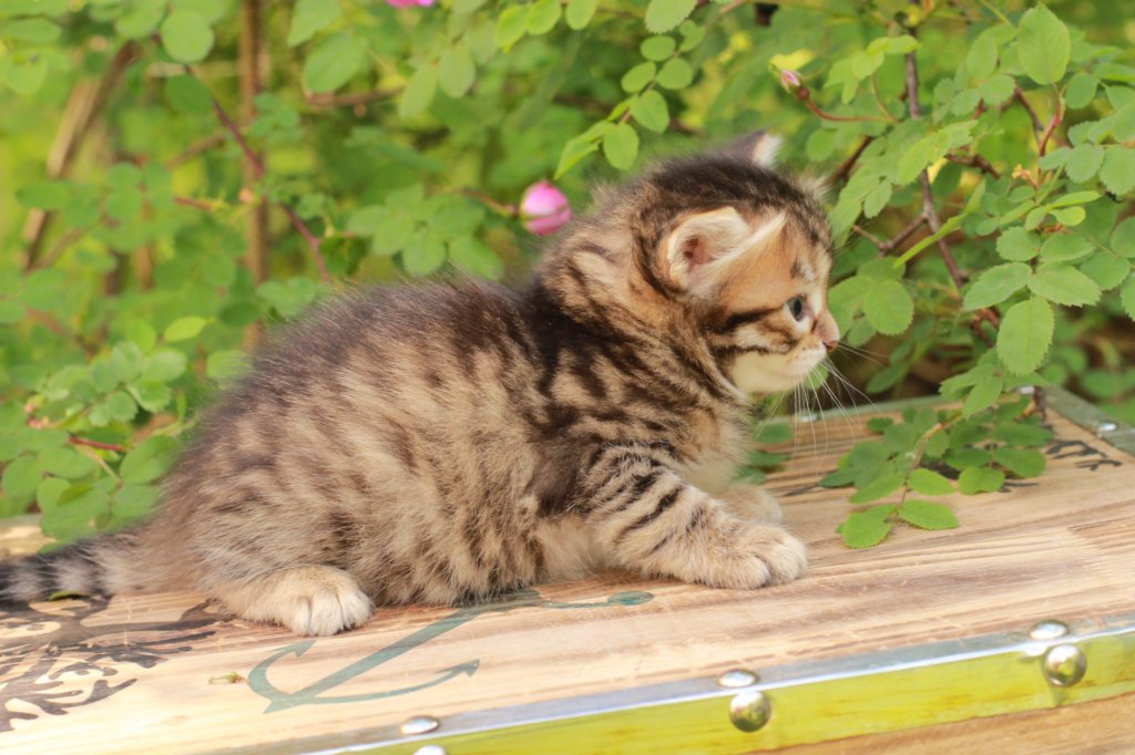 qumranboy4weeks9.jpg