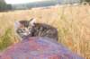 raguelboy6weeks12814_small.jpg