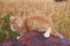 refuelot6weeks12821_small.jpg