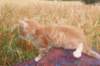 refuelot6weeks12822_small.jpg