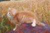 refuelot6weeks12823_small.jpg