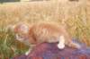 refuelot6weeks12824_small.jpg