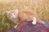 refuelot6weeks12825_small.jpg