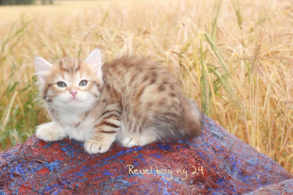 reuelboy6weeks1281.jpg