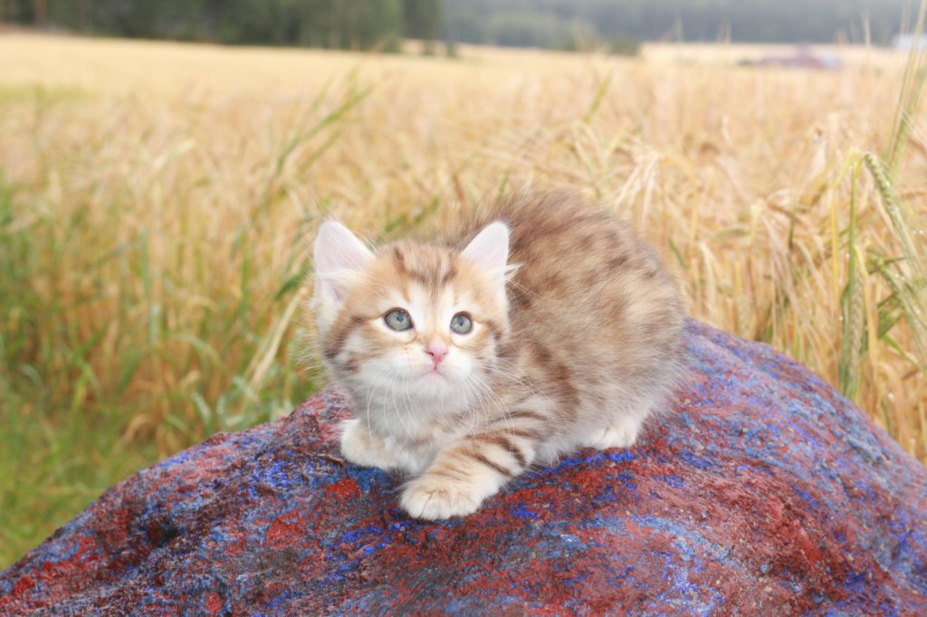 reuelboy6weeks12818.jpg