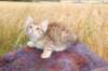 reuelboy6weeks12821_small.jpg