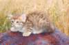 reuelboy6weeks12824_small.jpg