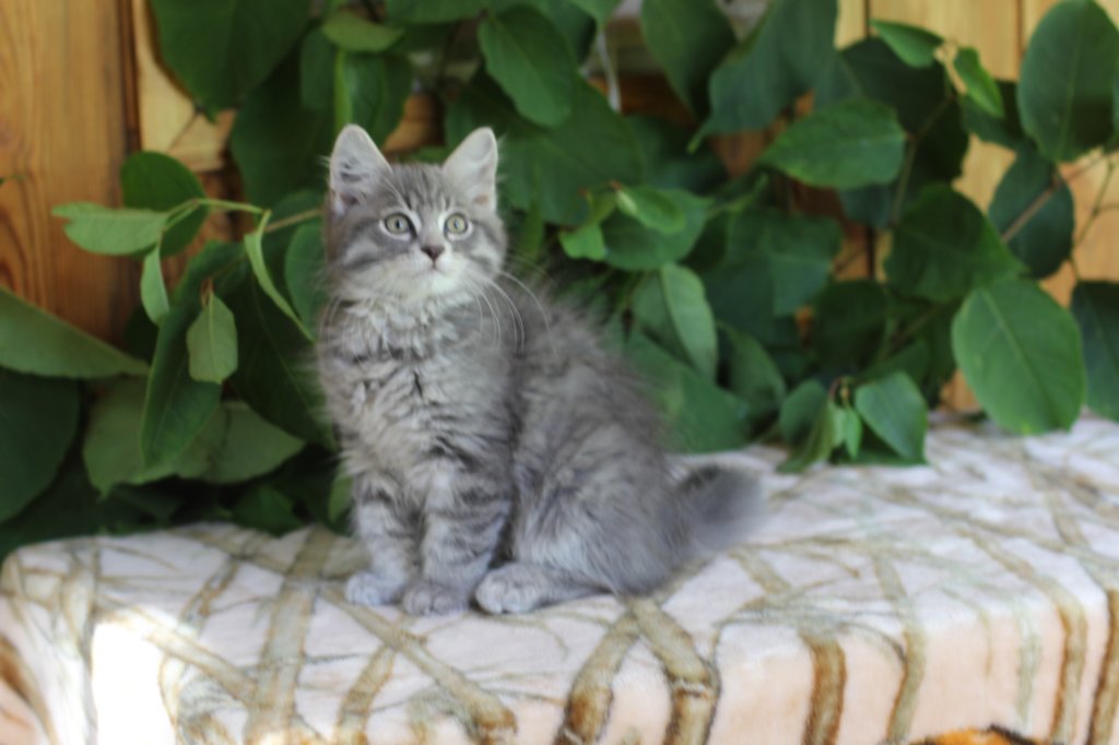 ron125weeks29874.jpg