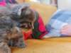 ron5boyentgirl345weeks5726_small.jpg