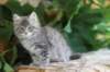 rosana125weeks31823_small.jpg