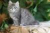 rosana125weeks31824_small.jpg