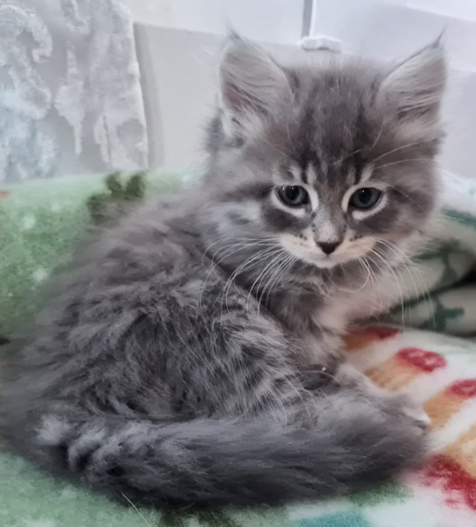 rosanagirl8weeks277202222.jpg