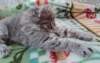 boyrafe8weeks2872022_small.jpg