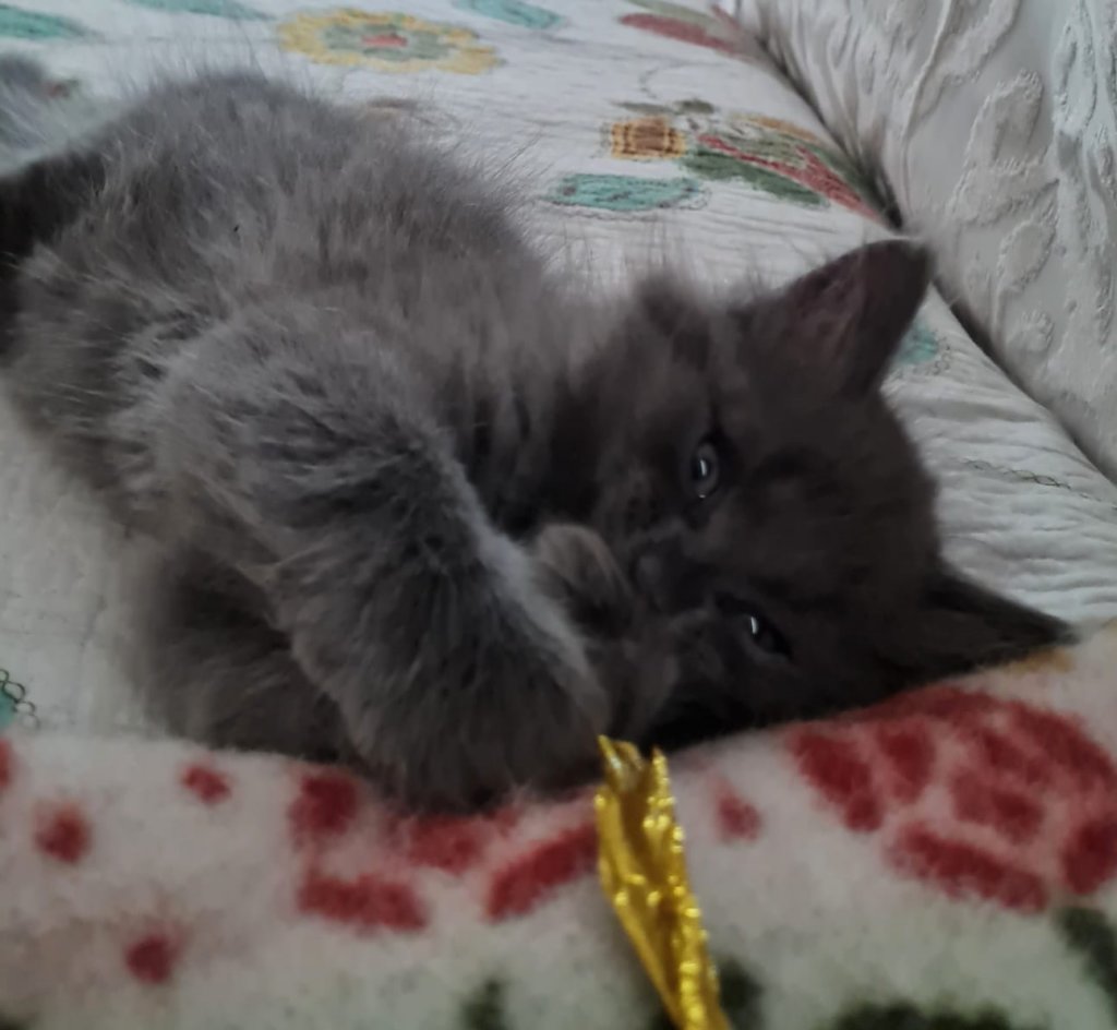 boyruben8weeks28720221.jpg