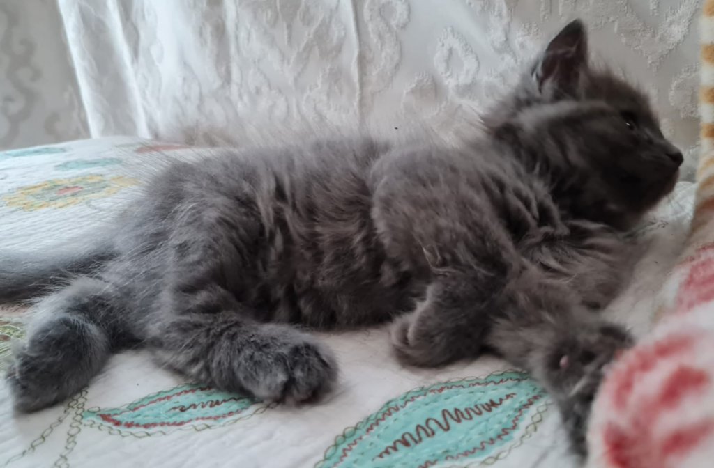 boyruben8weeks28720222.jpg