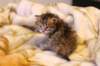 img_2139_small.jpg